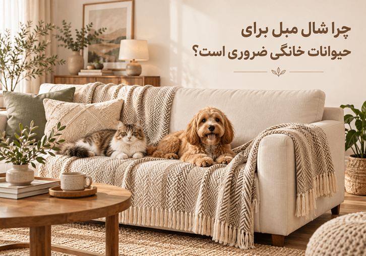 چرا شال مبل برای خانه‌ های دارای حیوان خانگی ضروری است؟